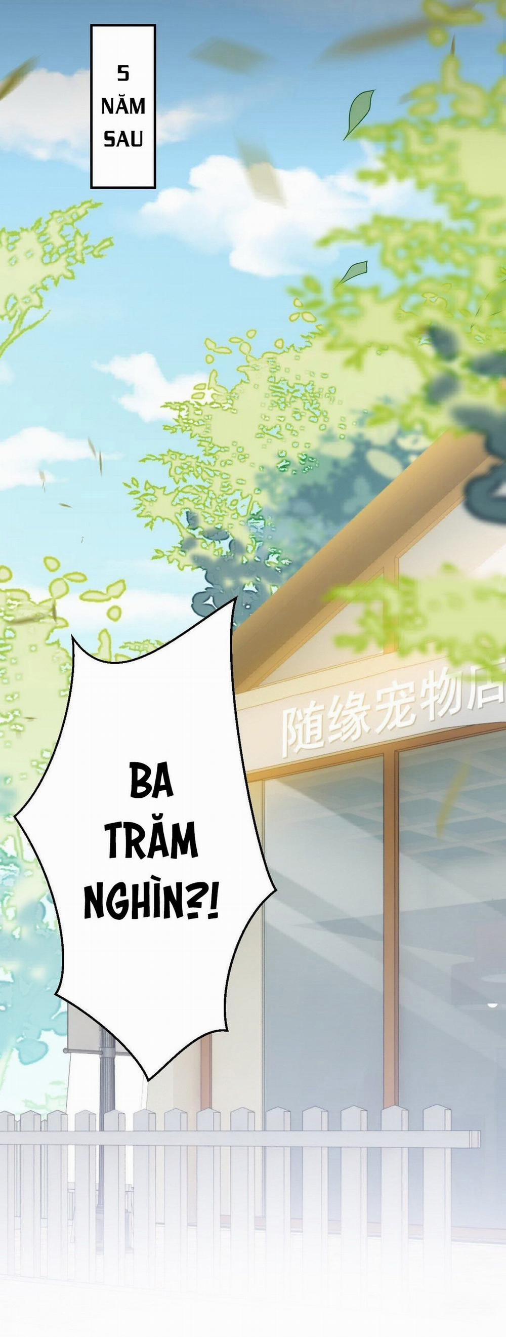 Không Nỗ Lực Thì Phải Làm Hoàng Phu 3 trang 14