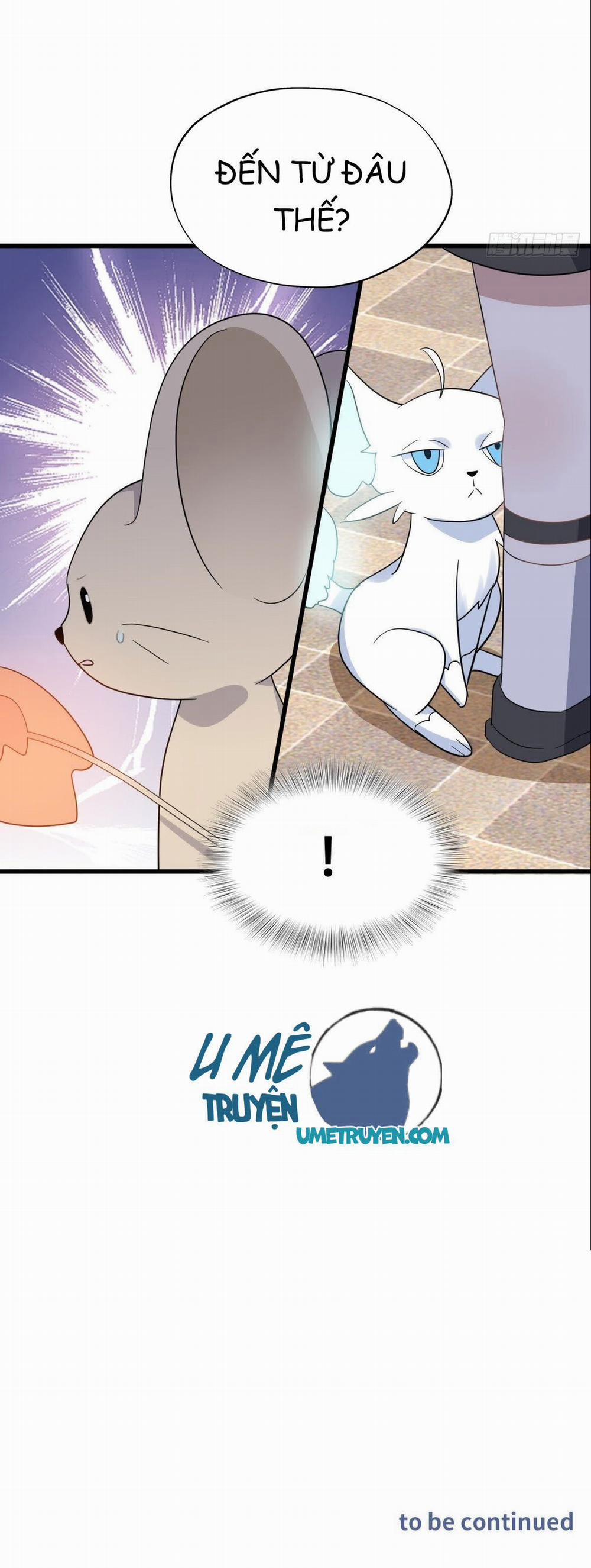 Không Nỗ Lực Thì Phải Làm Hoàng Phu 30 trang 27