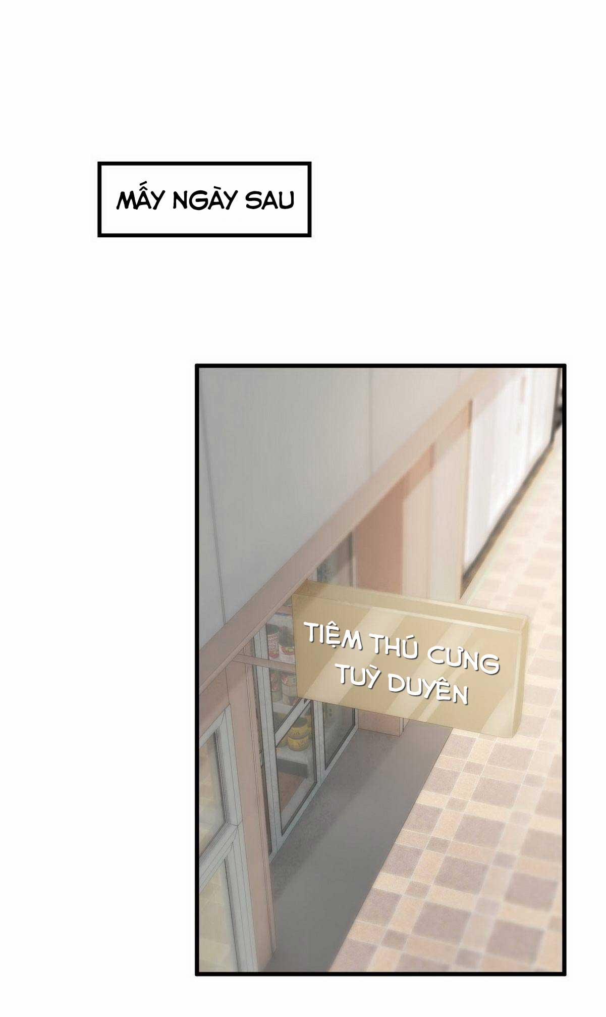 Không Nỗ Lực Thì Phải Làm Hoàng Phu 7 trang 2