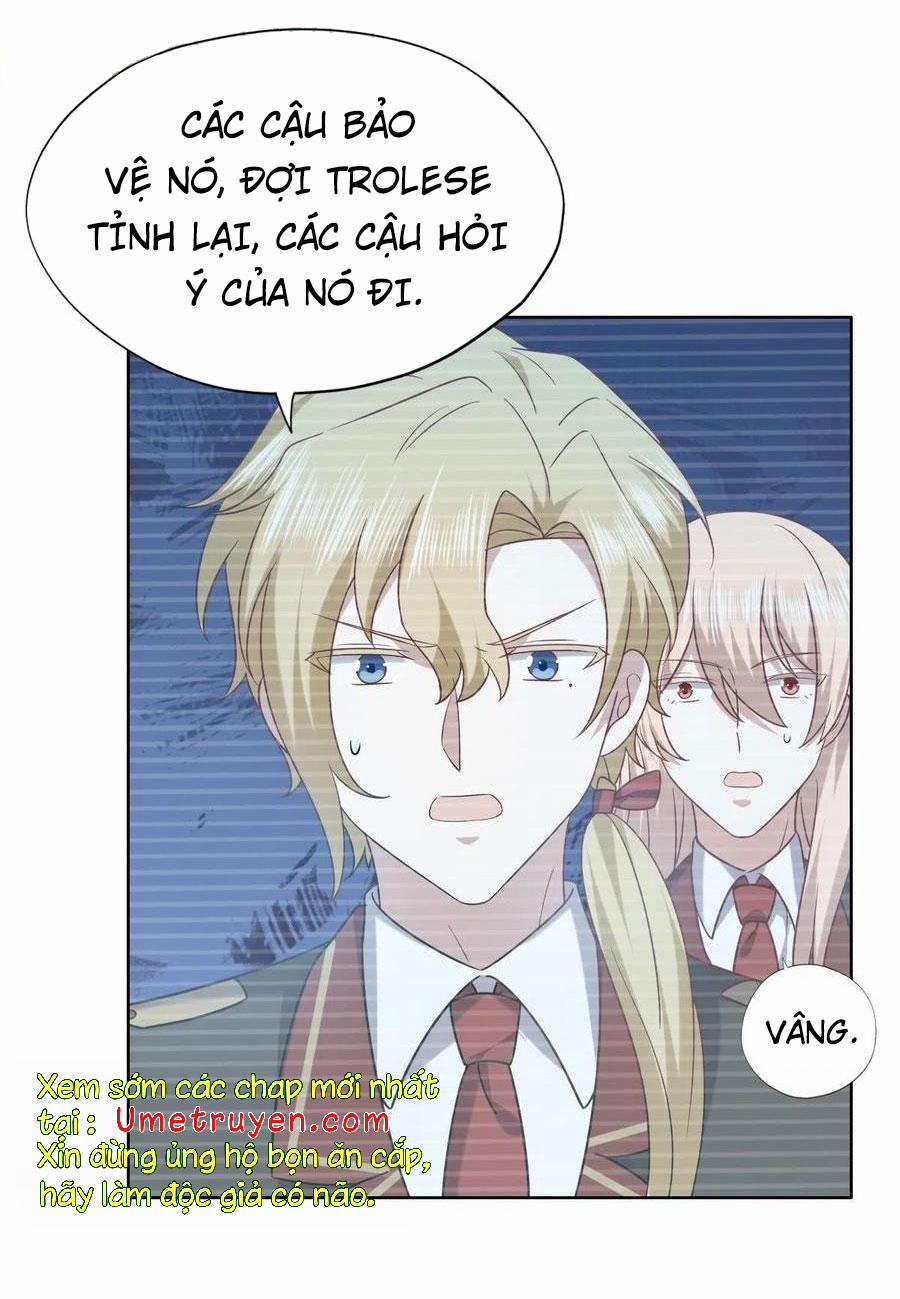 Không Nỗ Lực Thì Phải Làm Hoàng Phu 77 trang 26