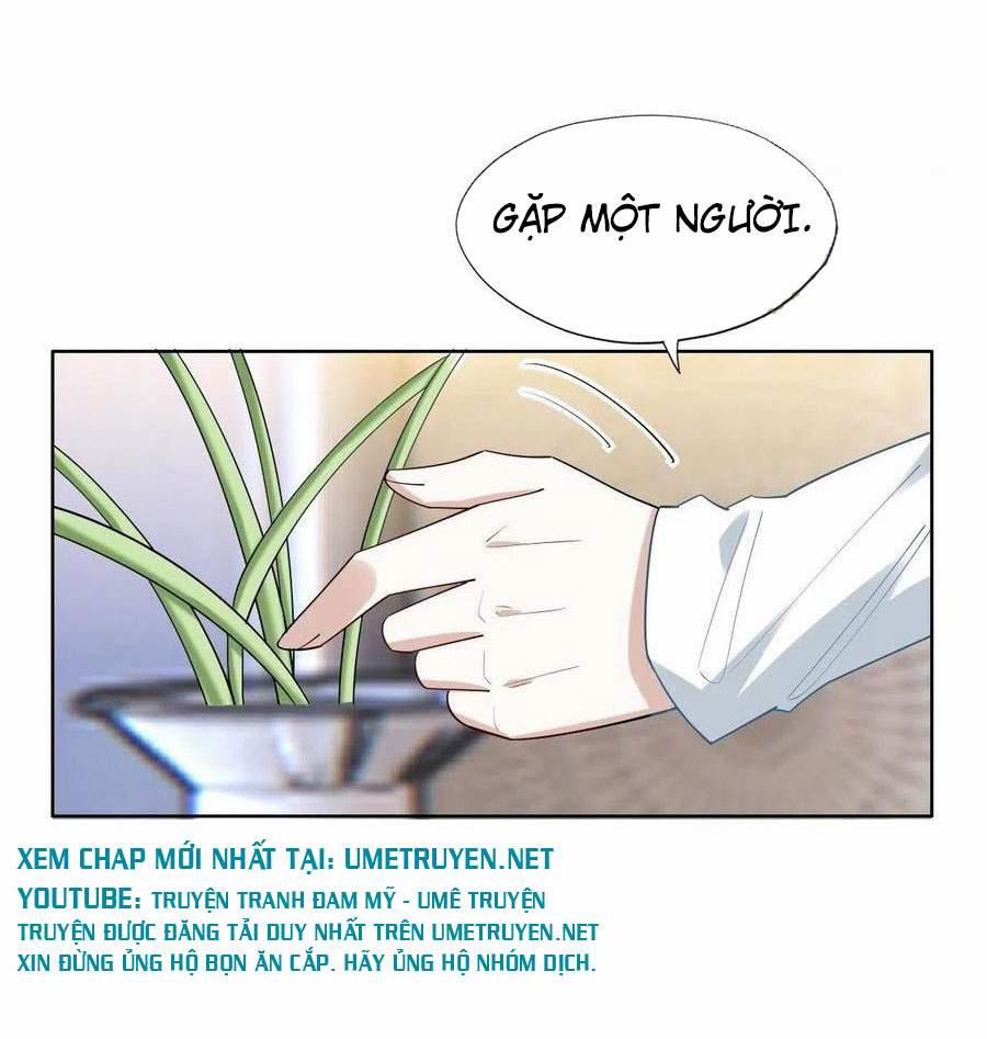 Không Nỗ Lực Thì Phải Làm Hoàng Phu 84 trang 12