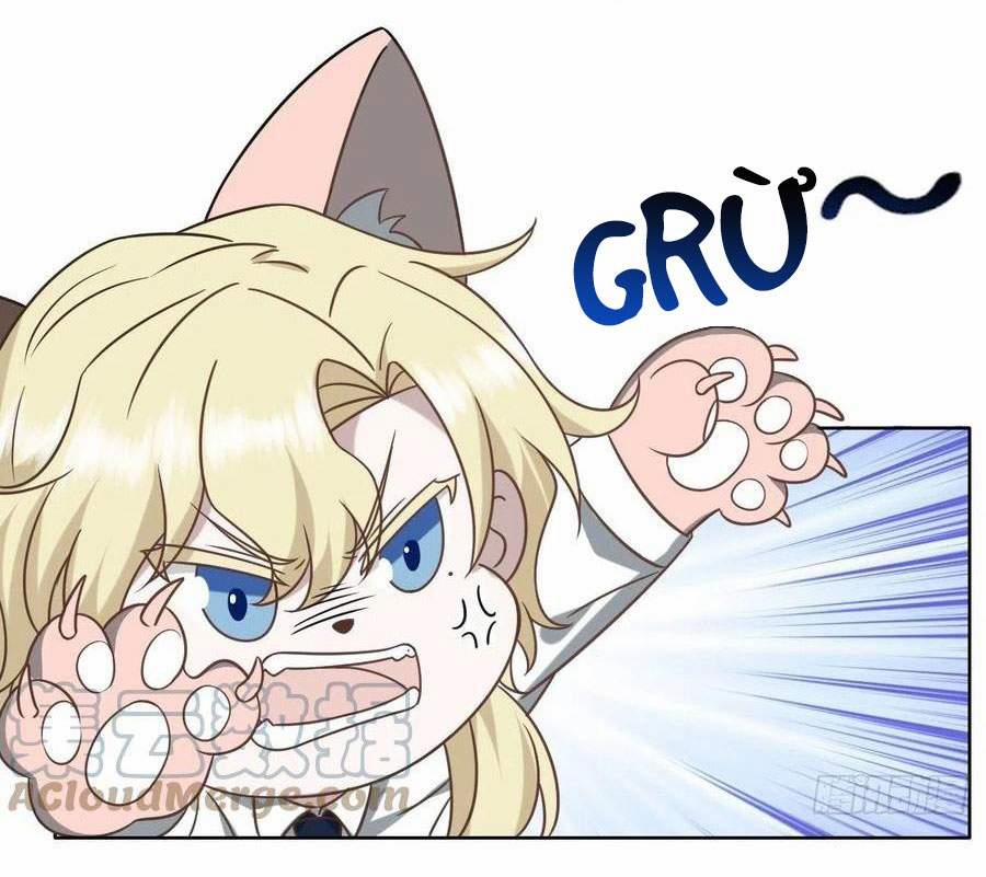 Không Nỗ Lực Thì Phải Làm Hoàng Phu 85 trang 46