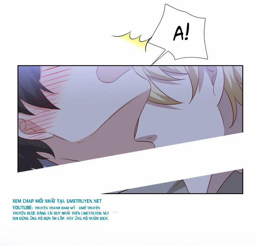 Không Nỗ Lực Thì Phải Làm Hoàng Phu 98 trang 31