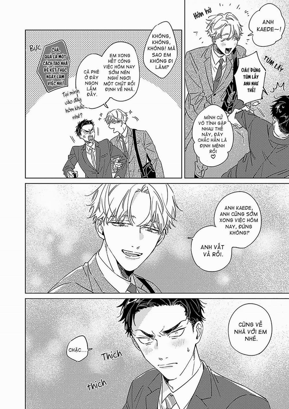 Không Thể Địch Lại Tình Đầu 3 trang 2