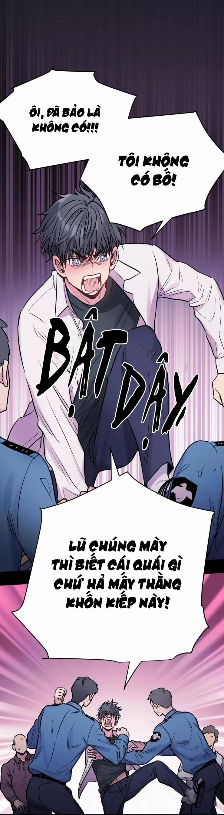 KHÔNG TƯỞNG 12 trang 13