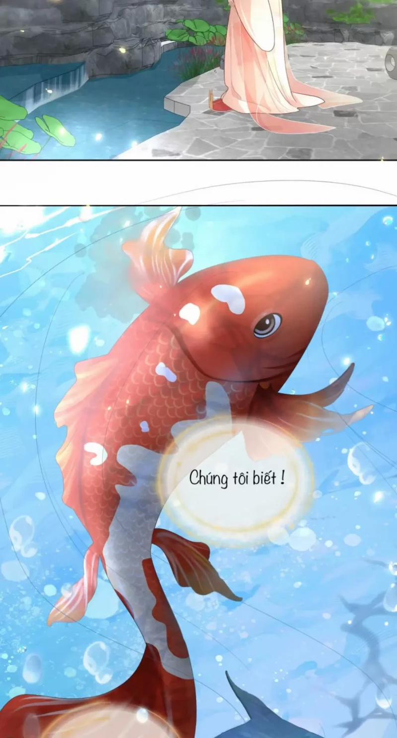 Không Uổng 11 trang 26