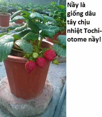 Không Xóa Sổ Con Người Được!! 21.2 trang 16