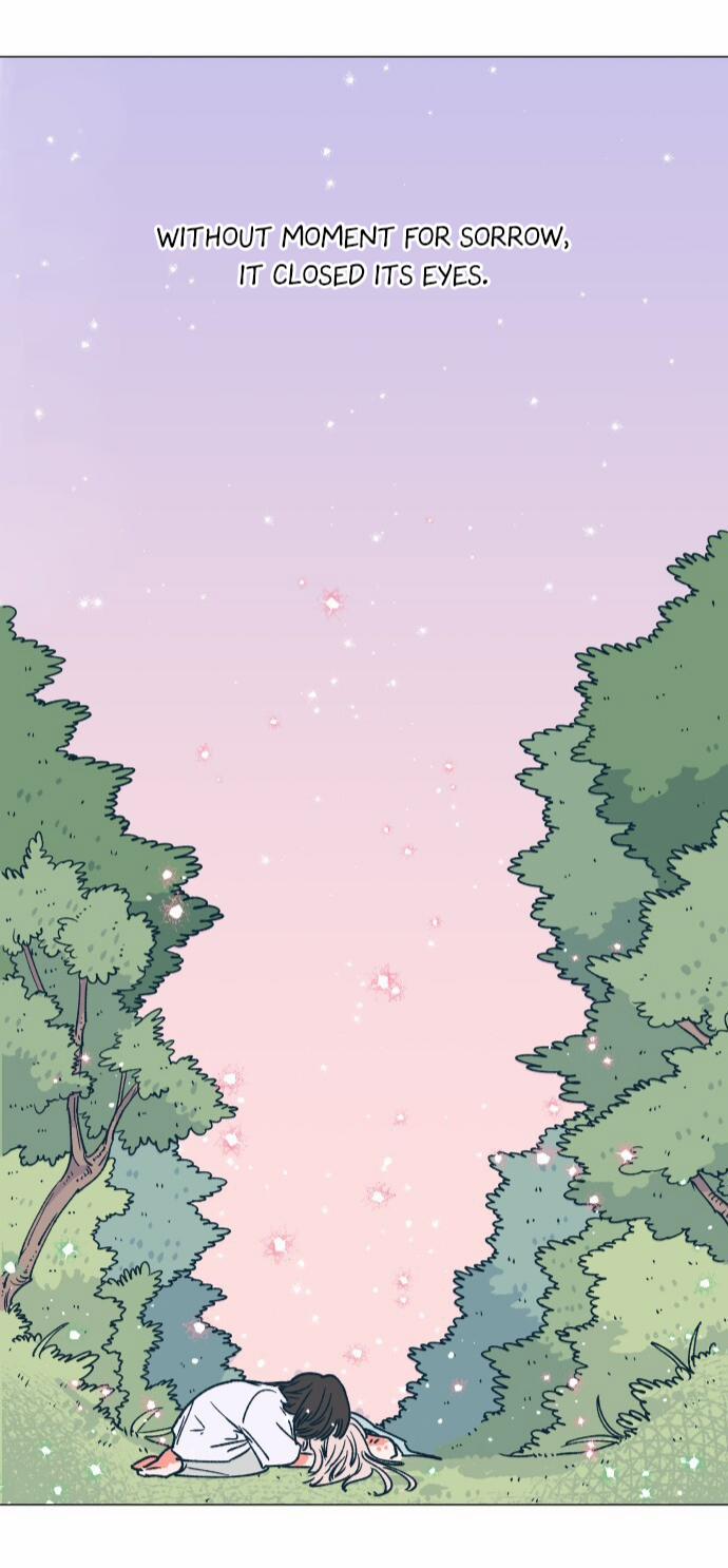 Khu Vườn Của Dam 2 trang 57