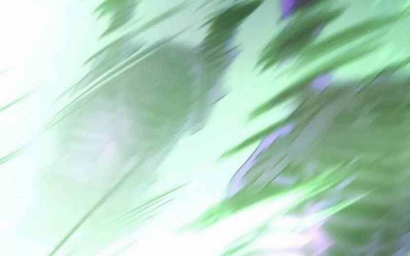 Kĩ Sư Bá Nhất Thế Giới 153 trang 29