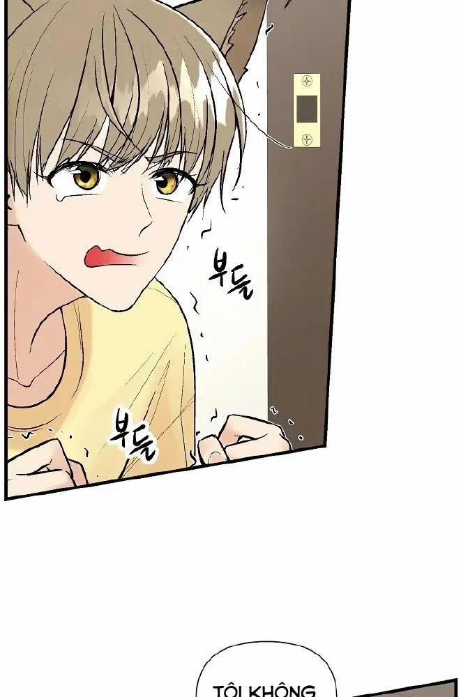Kiaedam 10 trang 37