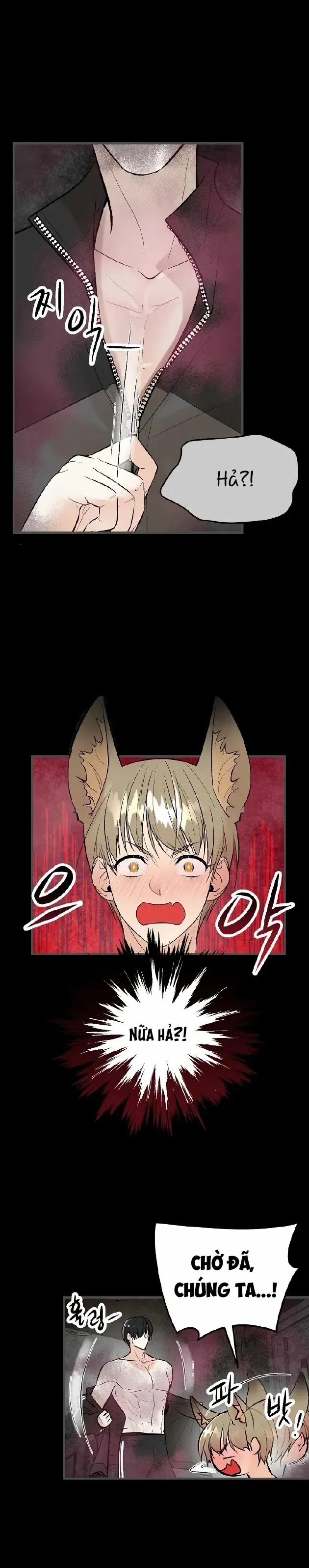 Kiaedam 12 trang 5