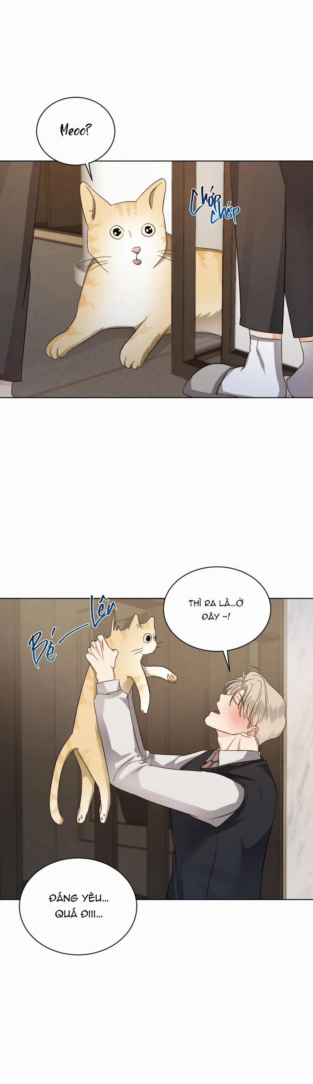 Kick Off 35 trang 19