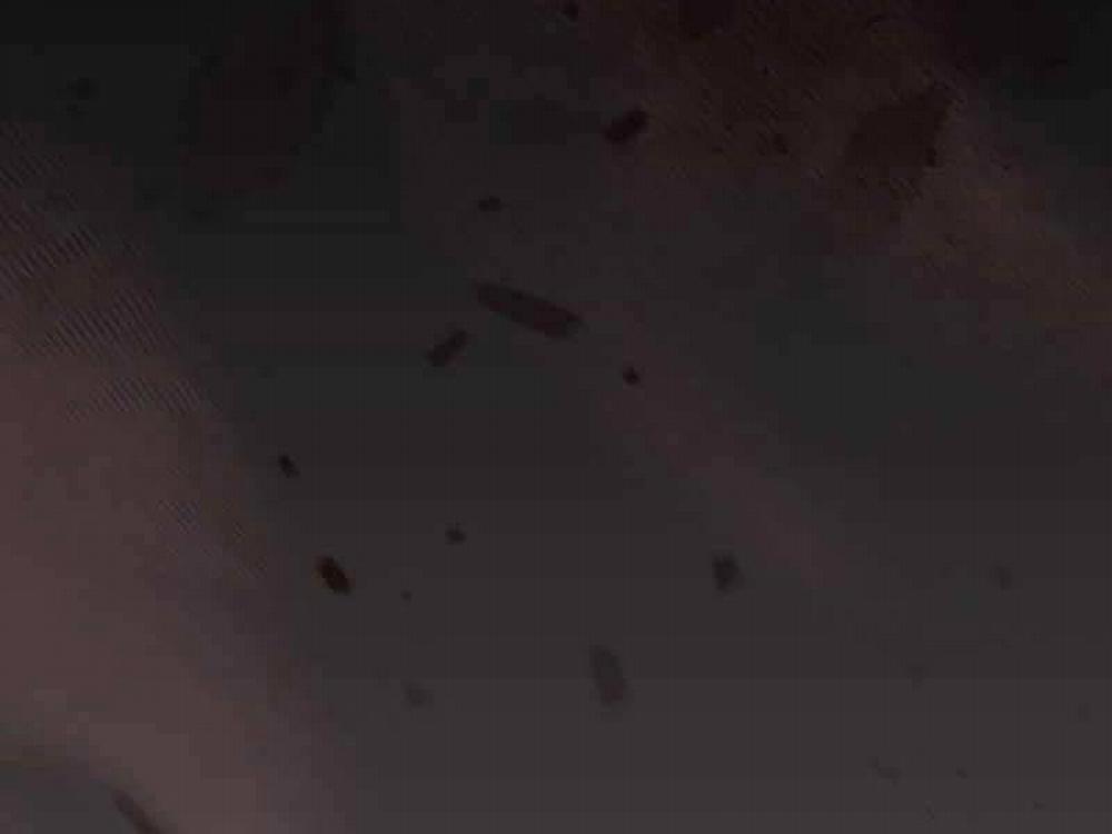 Kiếm Sĩ Thiên Tài Của Học Viện 33 trang 215