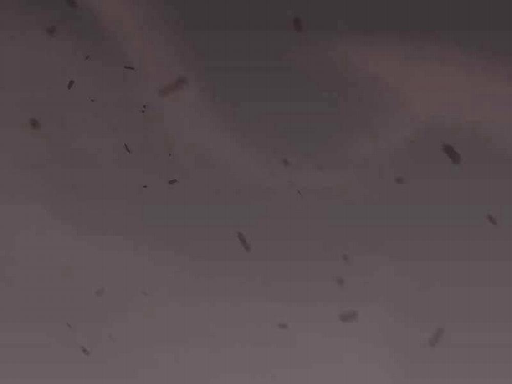 Kiếm Sĩ Thiên Tài Của Học Viện 33 trang 216