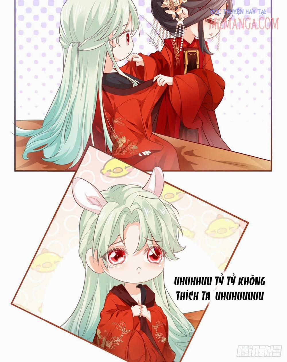 Kiều Mỵ Phu Lang, Tại Tuyến Lục Trà 1 trang 24