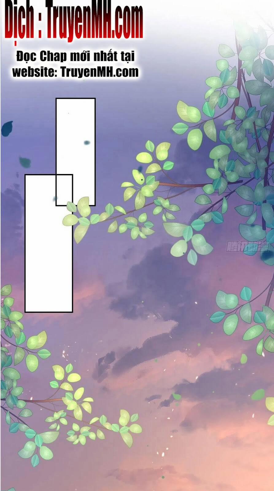 Kiều Mỵ Phu Lang, Tại Tuyến Lục Trà 100 trang 6