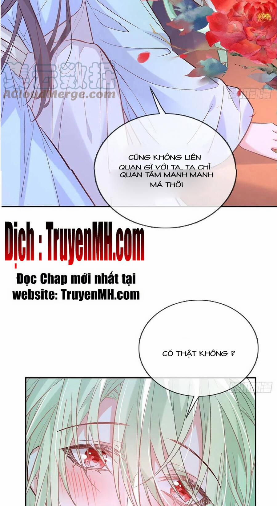 Kiều Mỵ Phu Lang, Tại Tuyến Lục Trà 102 trang 16