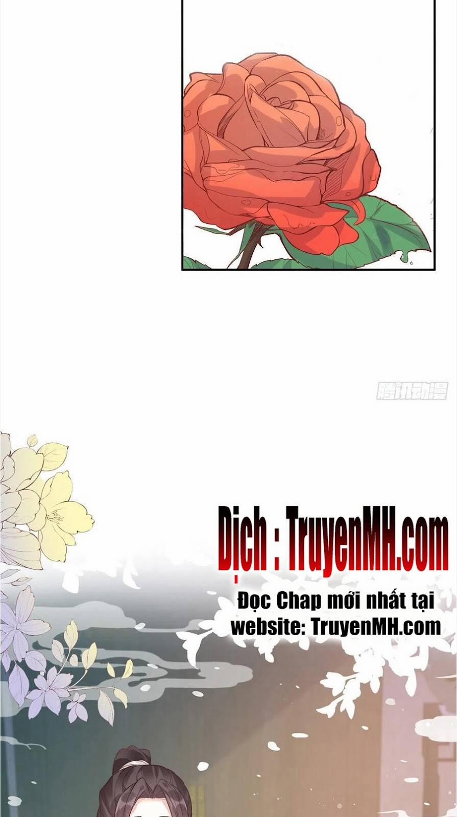 Kiều Mỵ Phu Lang, Tại Tuyến Lục Trà 104 trang 6