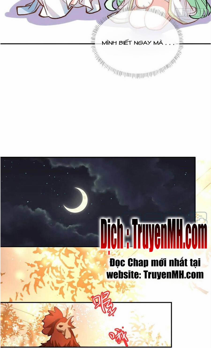 Kiều Mỵ Phu Lang, Tại Tuyến Lục Trà 111 trang 14