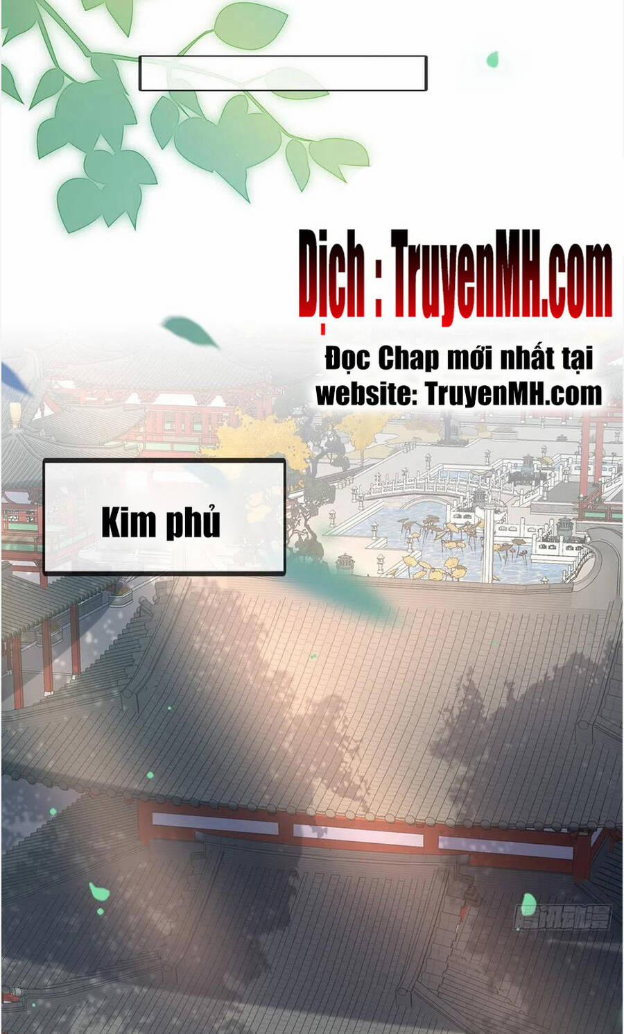Kiều Mỵ Phu Lang, Tại Tuyến Lục Trà 115 trang 15