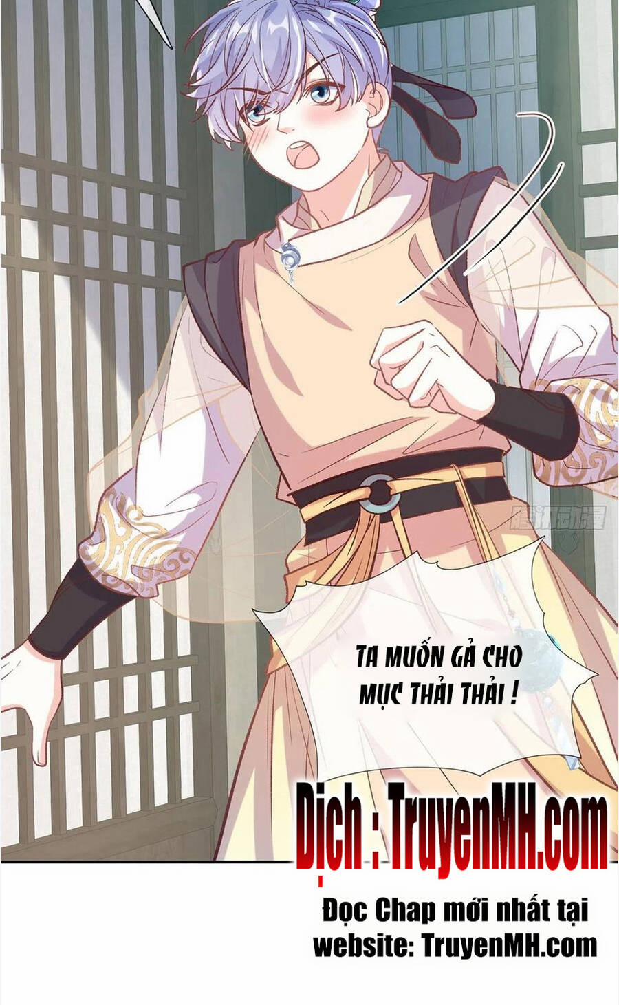 Kiều Mỵ Phu Lang, Tại Tuyến Lục Trà 116 trang 3