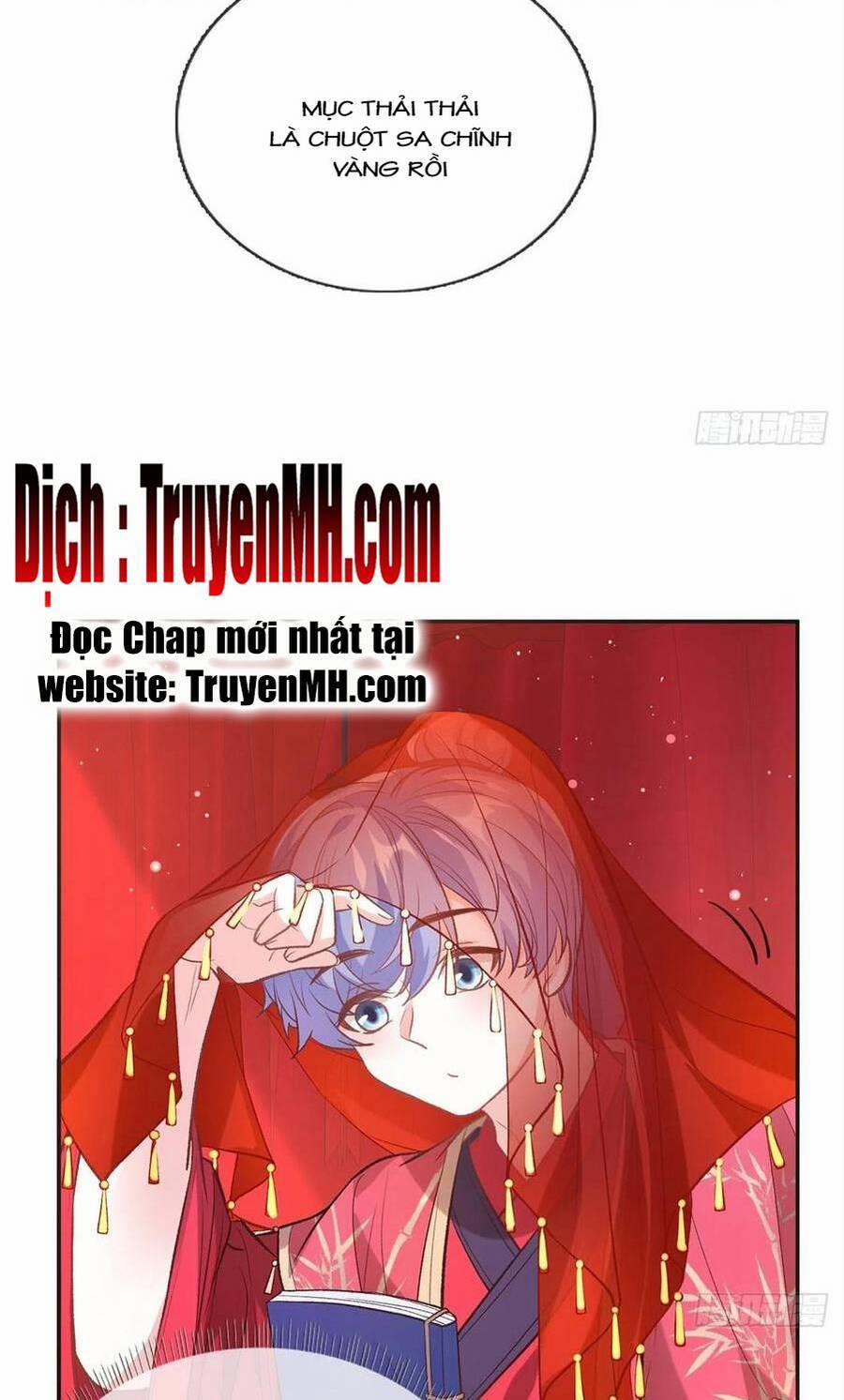 Kiều Mỵ Phu Lang, Tại Tuyến Lục Trà 118 trang 13