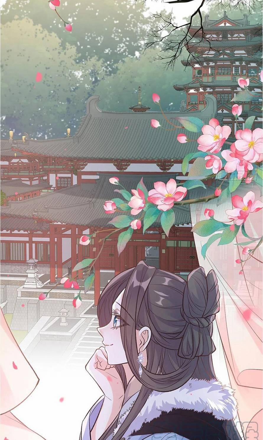 Kiều Mỵ Phu Lang, Tại Tuyến Lục Trà 121 trang 9