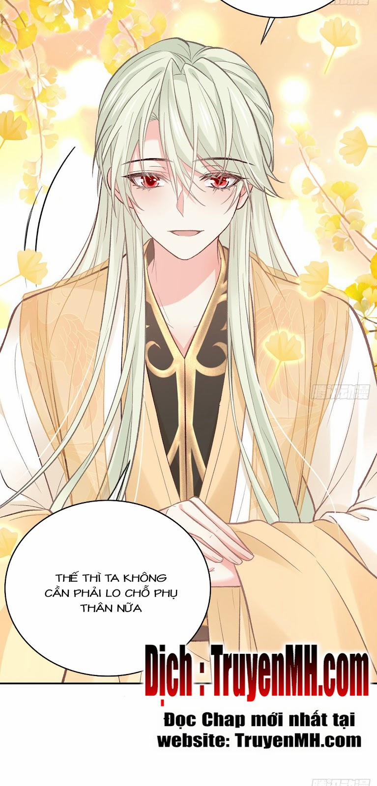 Kiều Mỵ Phu Lang, Tại Tuyến Lục Trà 28 trang 11