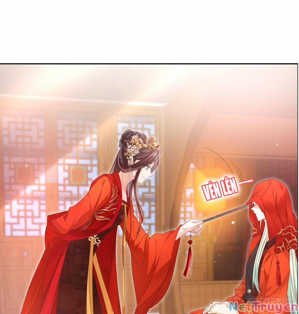 Kiều Mỵ Phu Lang, Tại Tuyến Lục Trà 3 trang 10