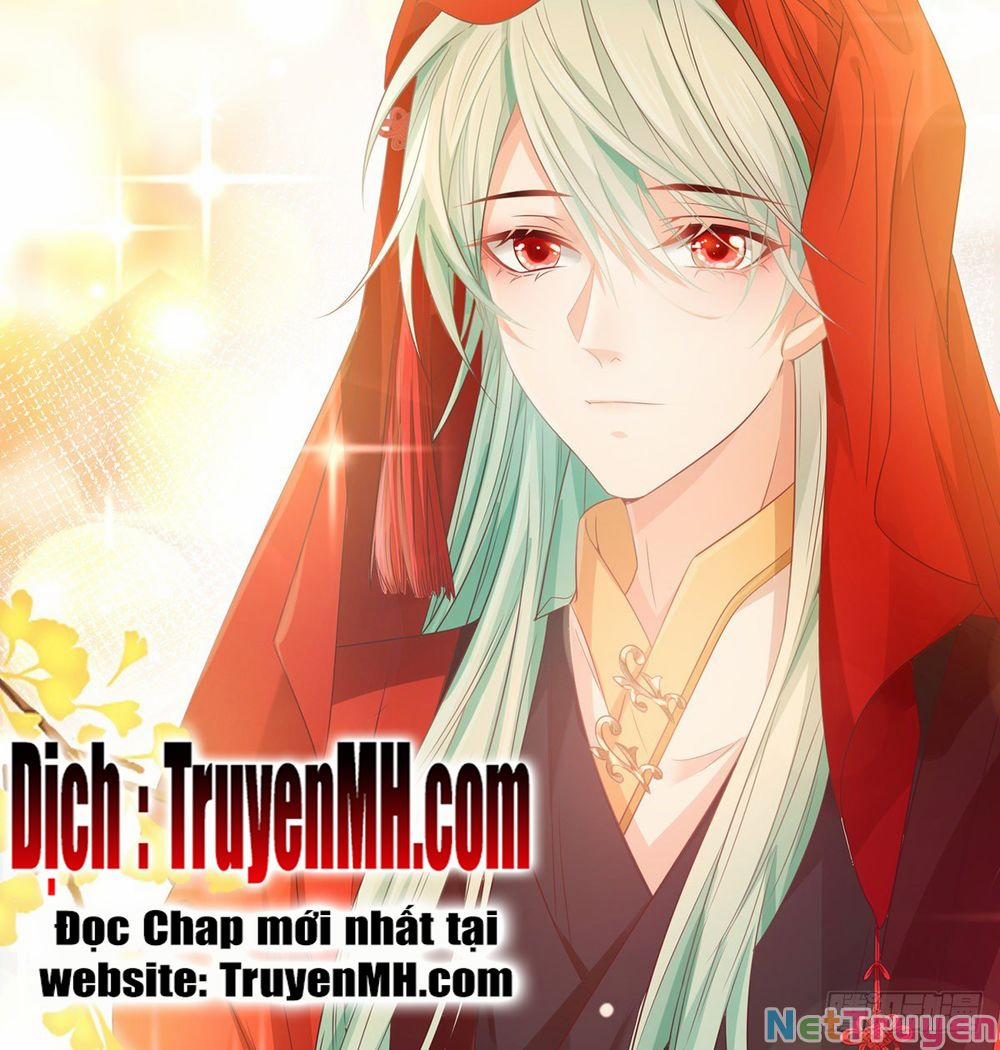 Kiều Mỵ Phu Lang, Tại Tuyến Lục Trà 3 trang 12