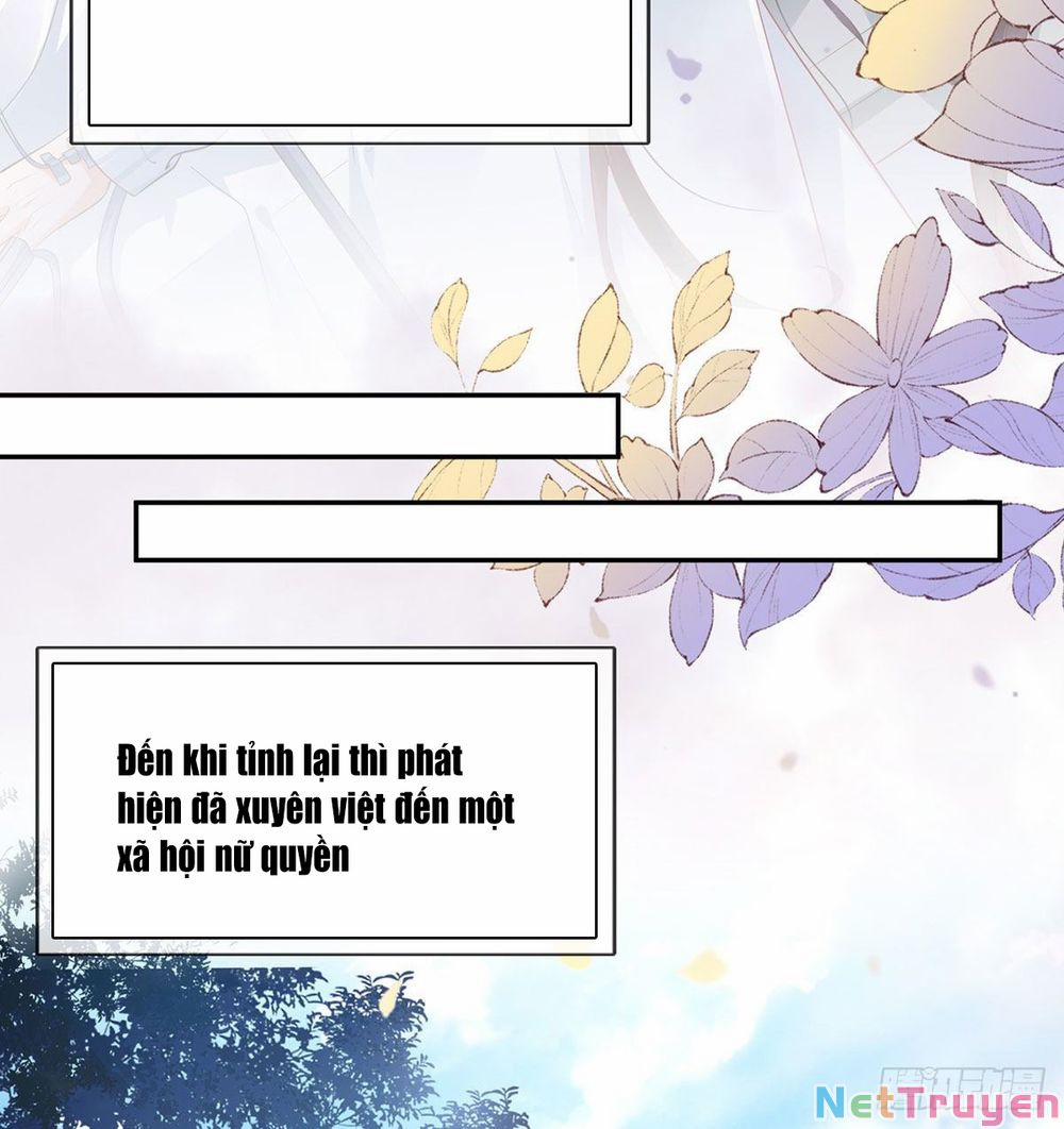 Kiều Mỵ Phu Lang, Tại Tuyến Lục Trà 4 trang 6