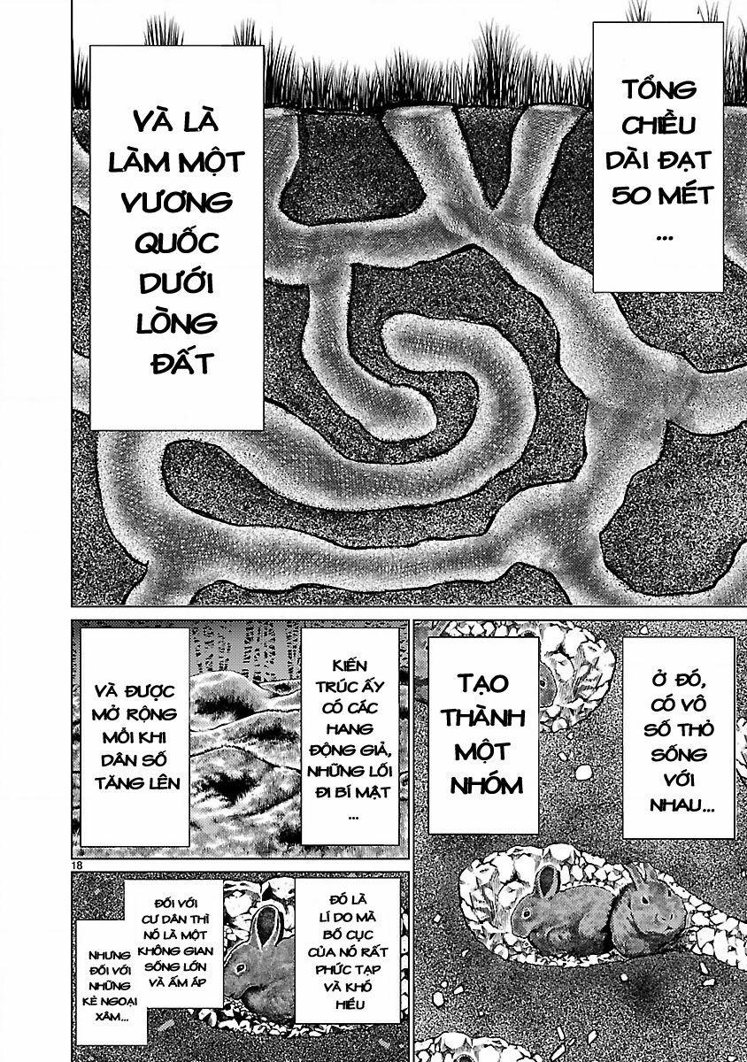 Killing Bites 18 trang 21