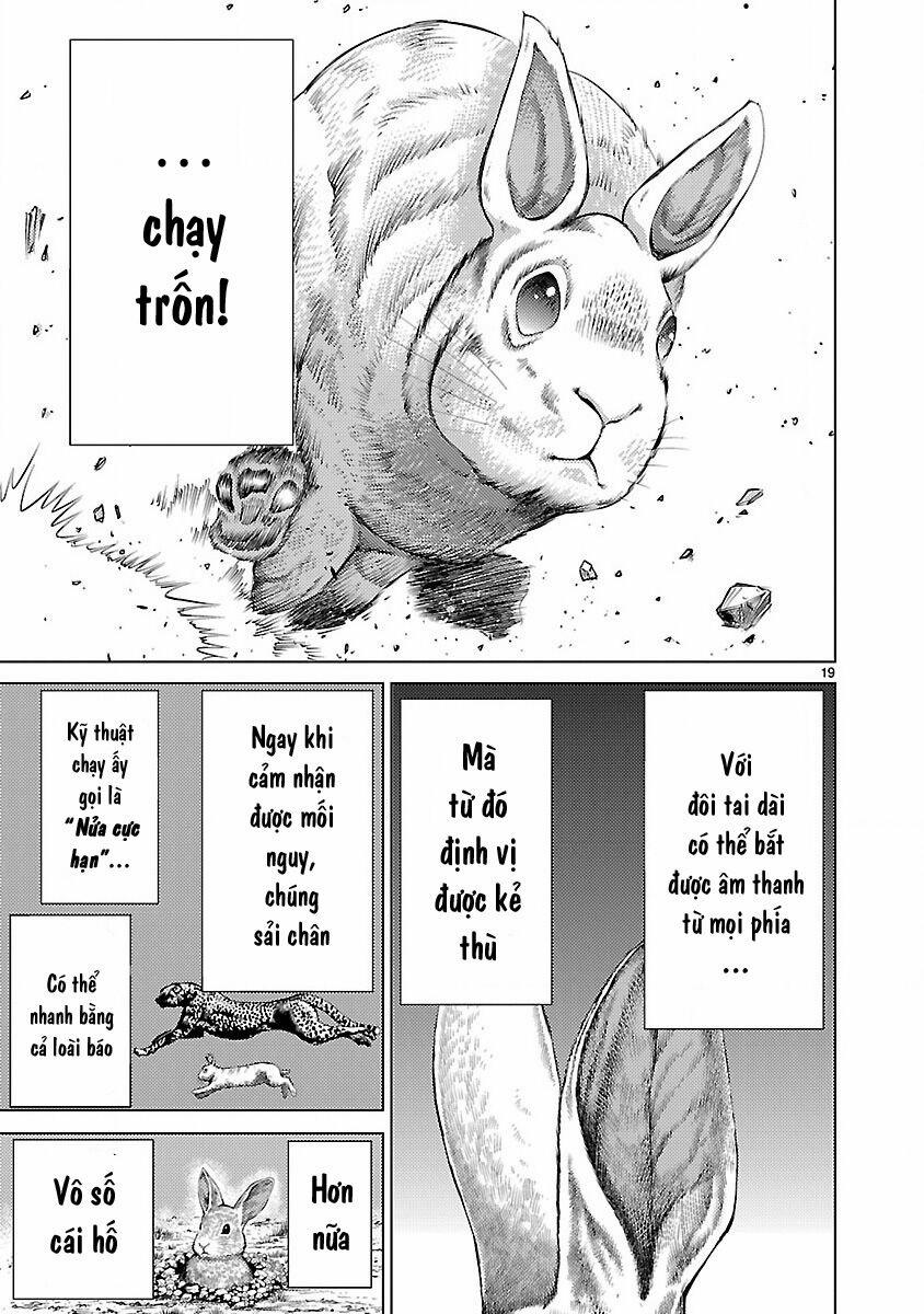 Killing Bites 19 trang 21