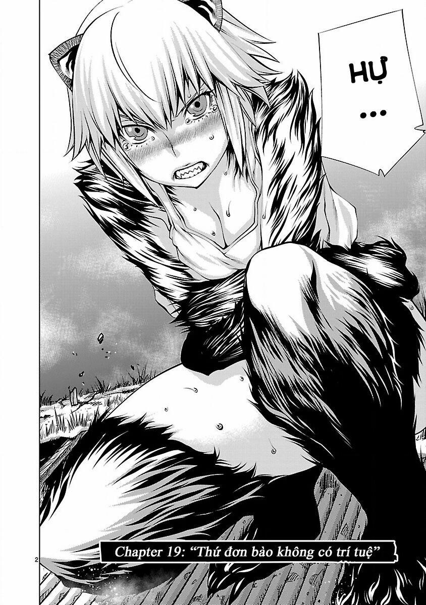 Killing Bites 19 trang 4