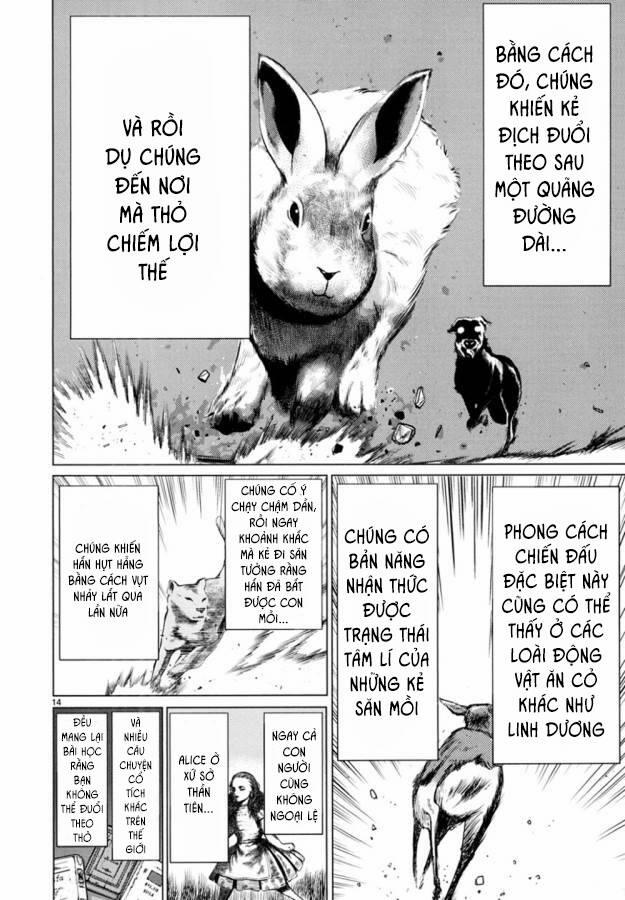 Killing Bites 23 trang 17