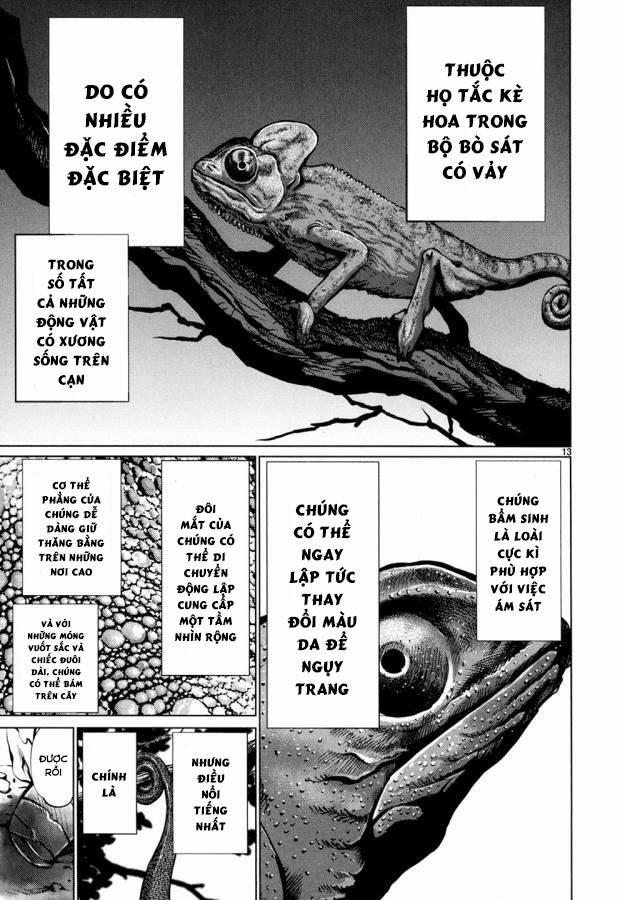 Killing Bites 29 trang 16