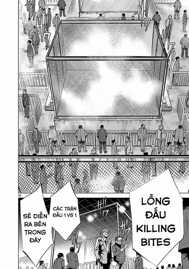 Killing Bites 31 trang 37