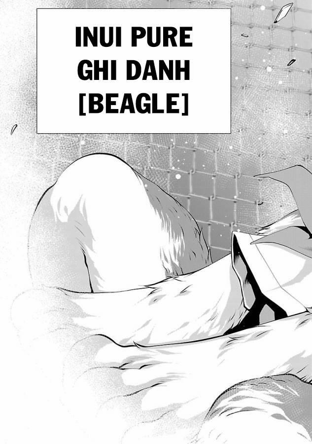 Killing Bites 31 trang 47