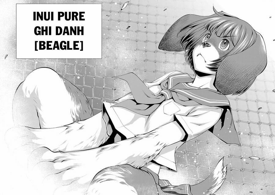 Killing Bites 31 trang 49