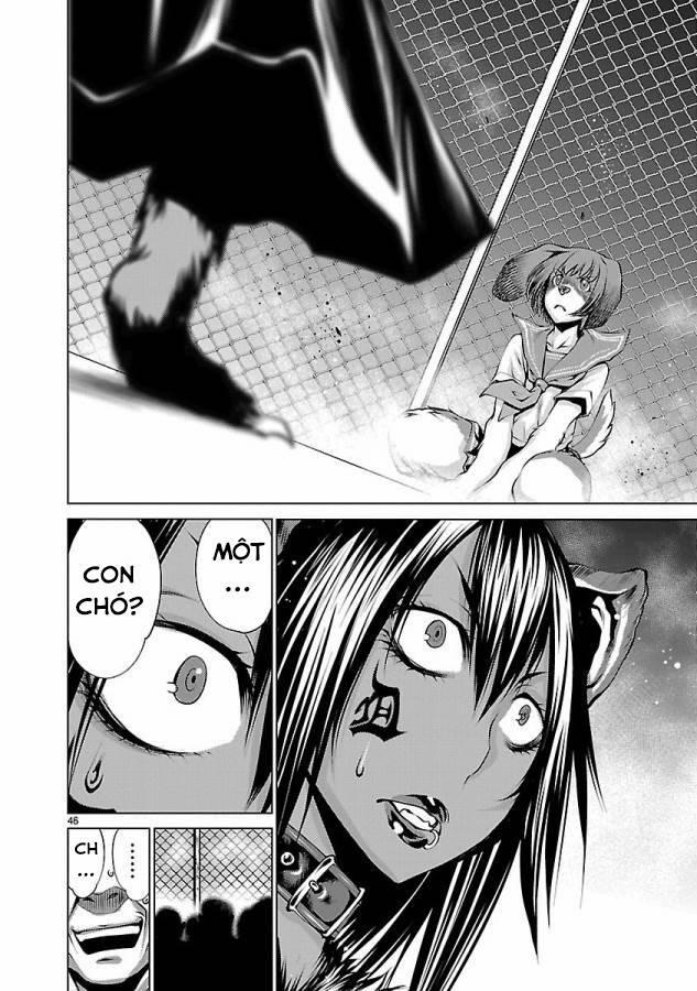 Killing Bites 31 trang 50