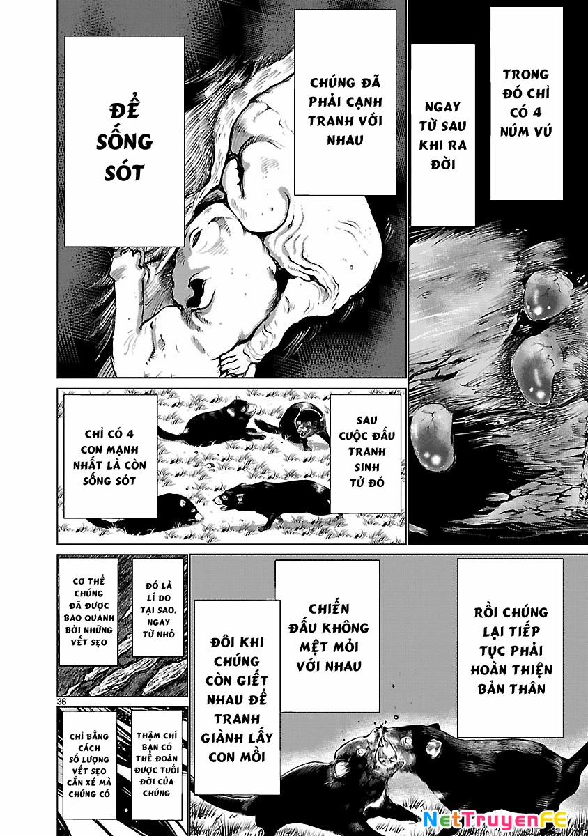 Killing Bites 36 trang 38