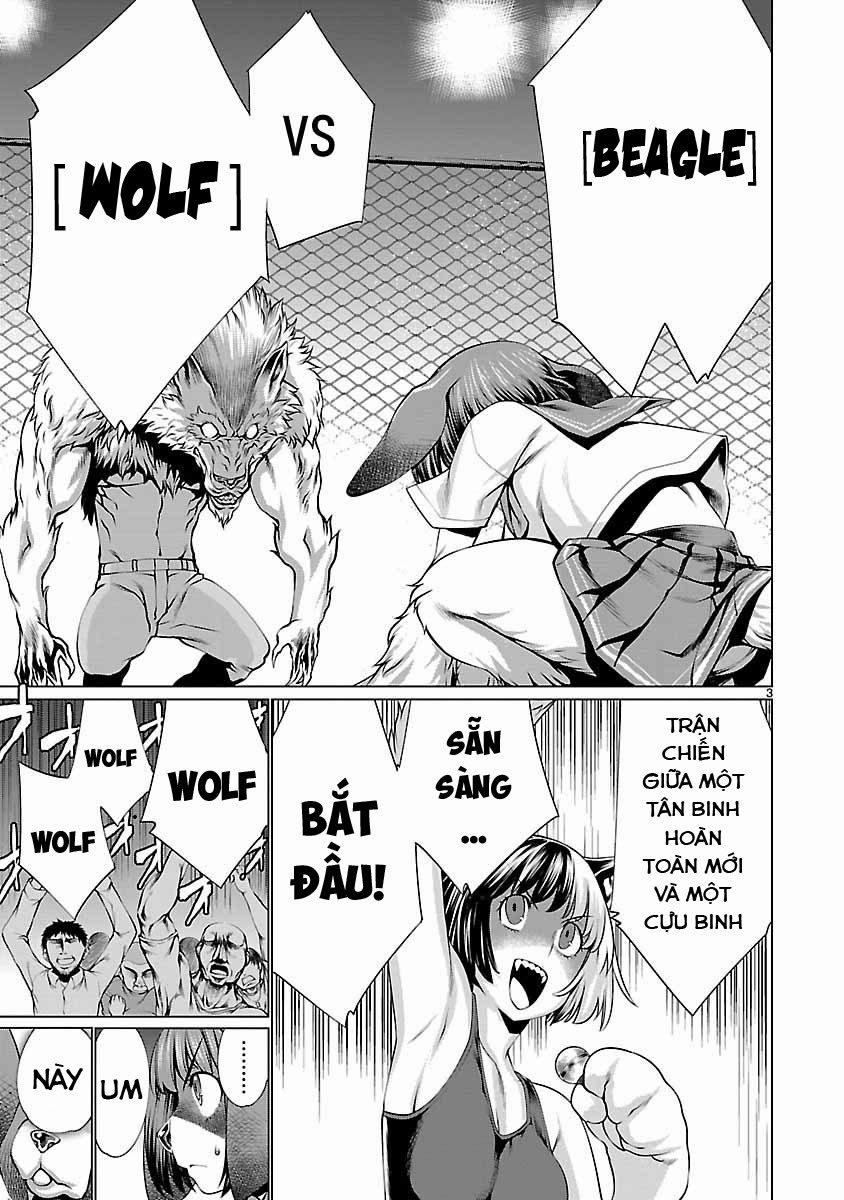 Killing Bites 38 trang 5