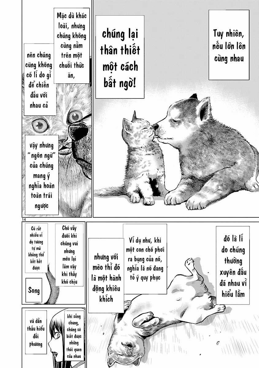 Killing Bites 39 trang 16