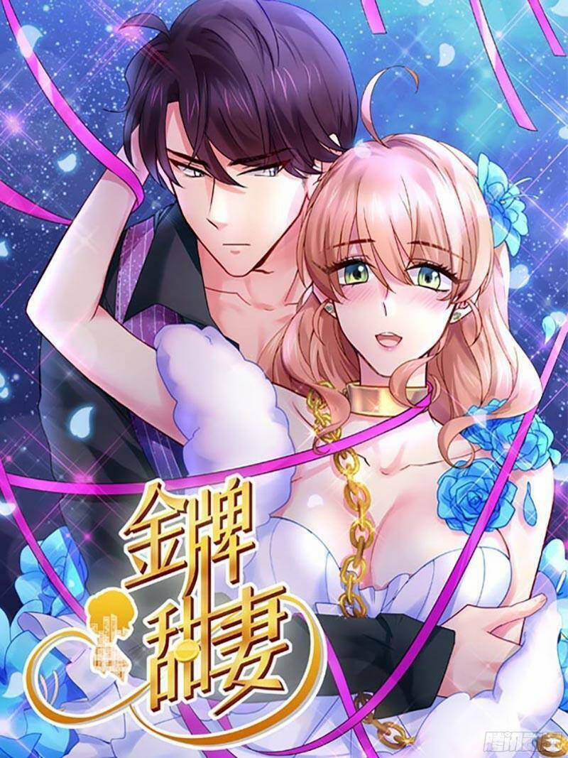 Kim Bài Điềm Thê 218 trang 0