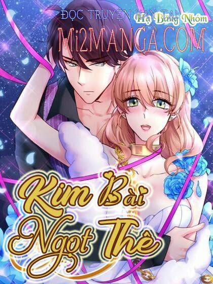 Kim Bài Điềm Thê 224 trang 0