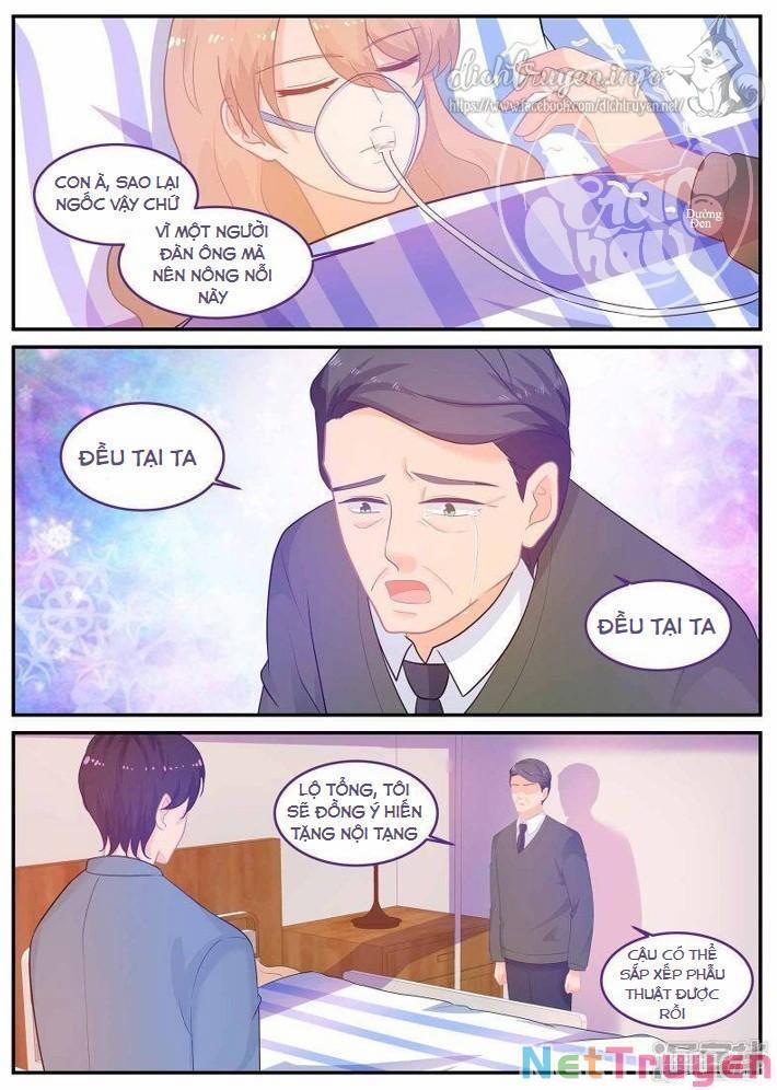 Kim Bài Điềm Thê 231 trang 9