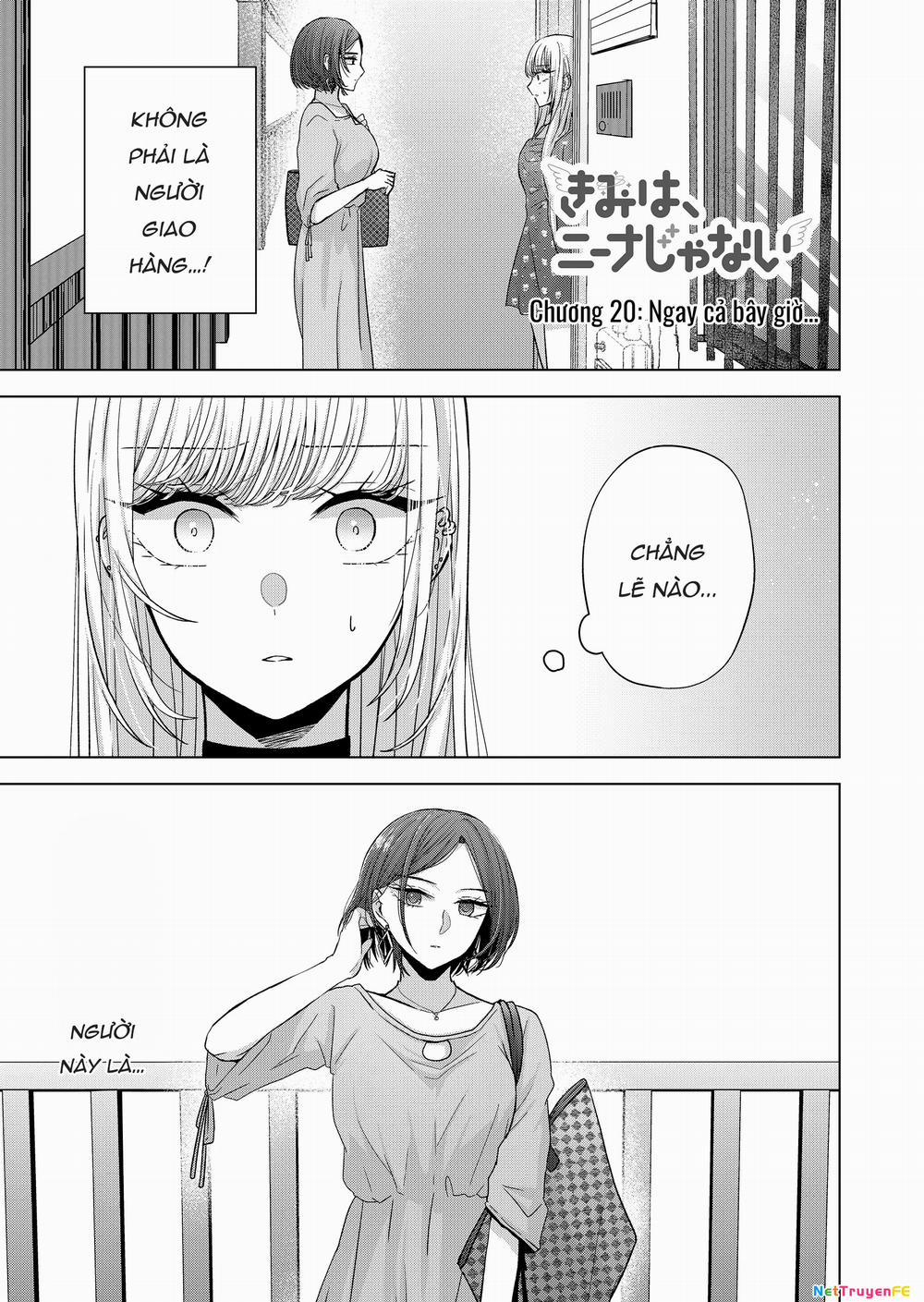 Kimi Wa Nina Janai! 20 trang 0
