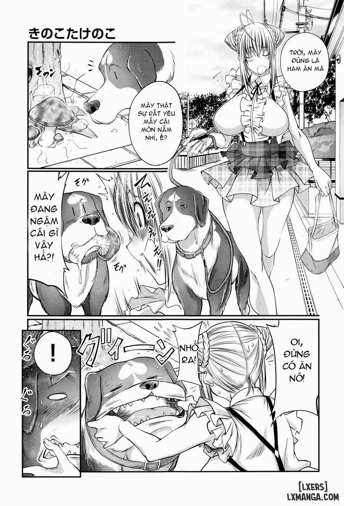 Kinoko Takenoko Mushroom Bamboo Shoot 1 trang 2