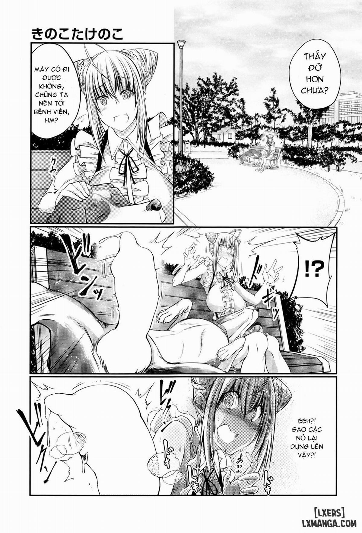 Kinoko Takenoko Mushroom Bamboo Shoot 1 trang 4