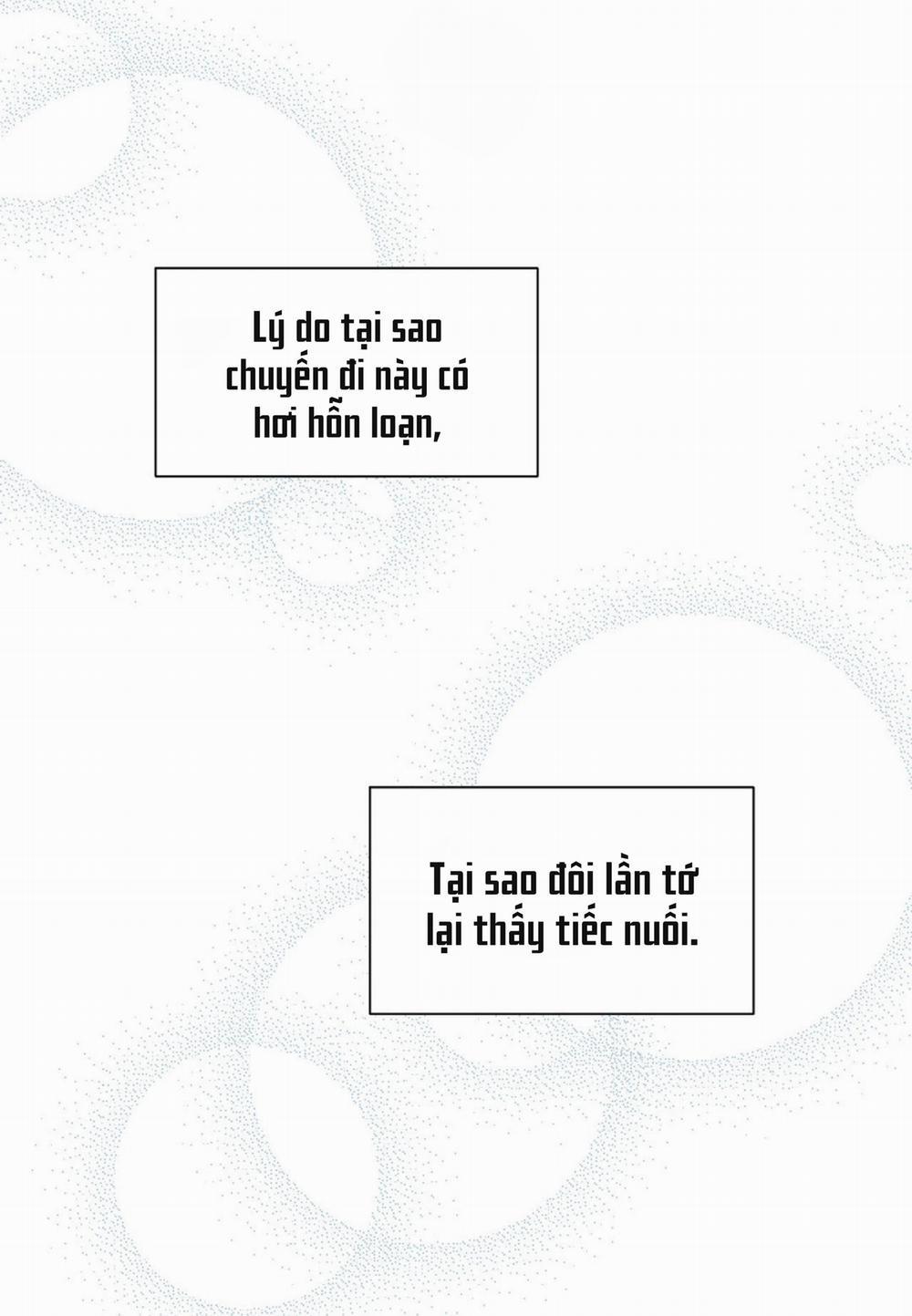 Kisses X Kiss X Kisses 25 trang 10